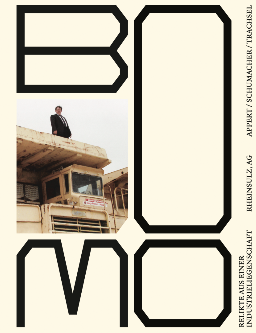 Book cover of the Book Boom