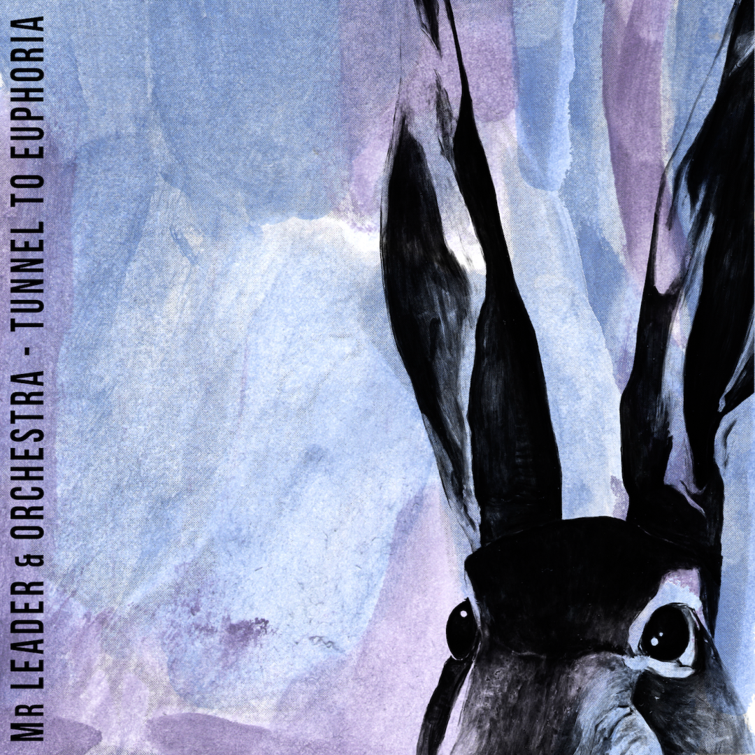 Front view of a Mr Leader CD
