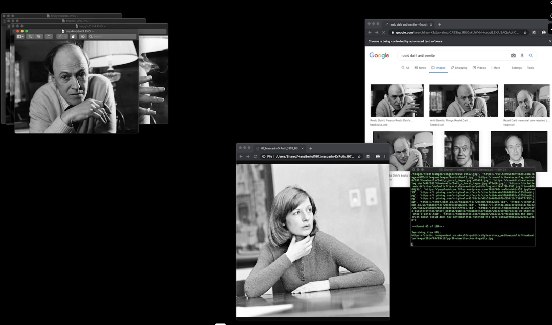 Screenshot of the likeness bot